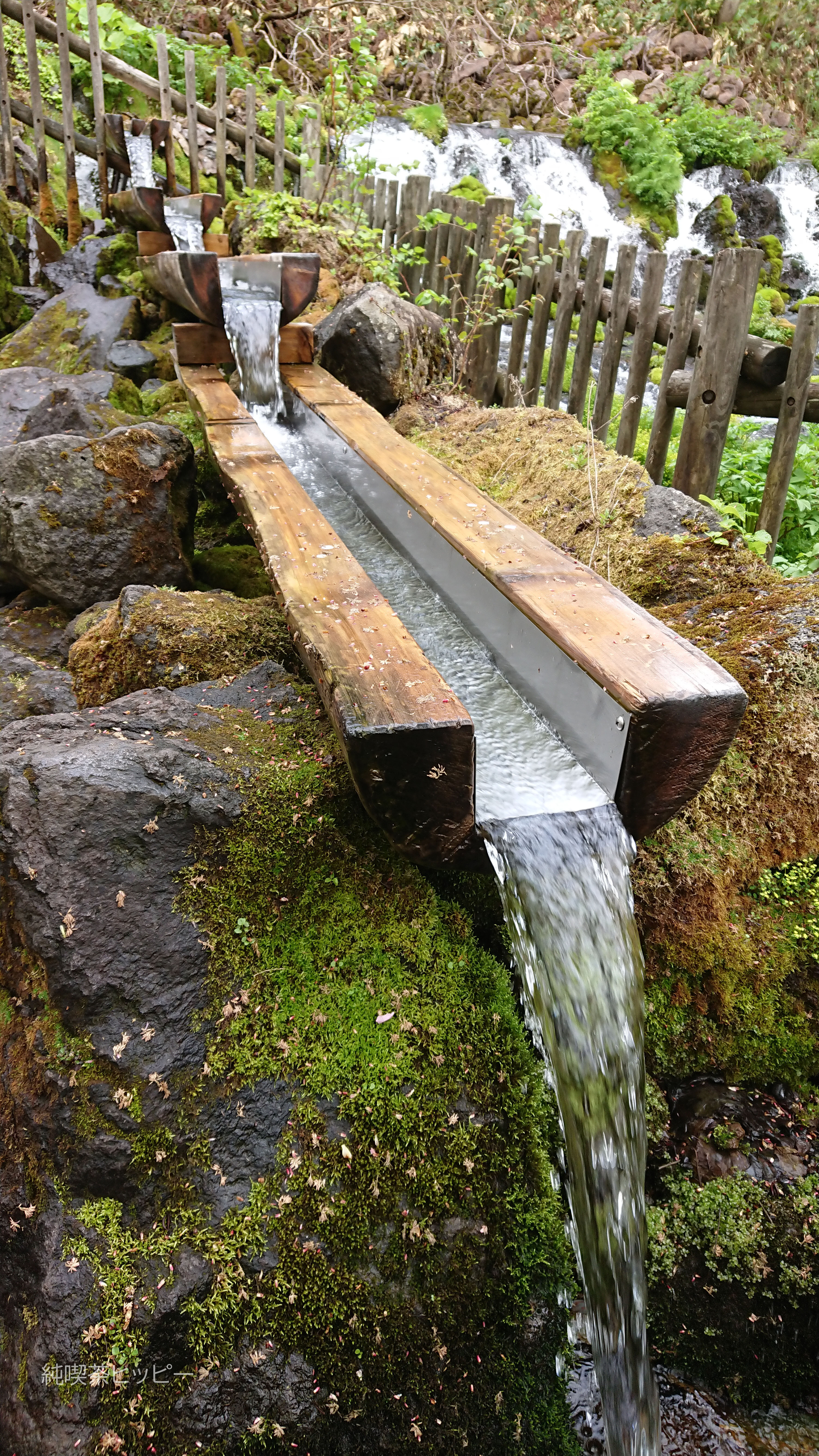 DSCPDC_0003_BURST20220514094858938_COVER