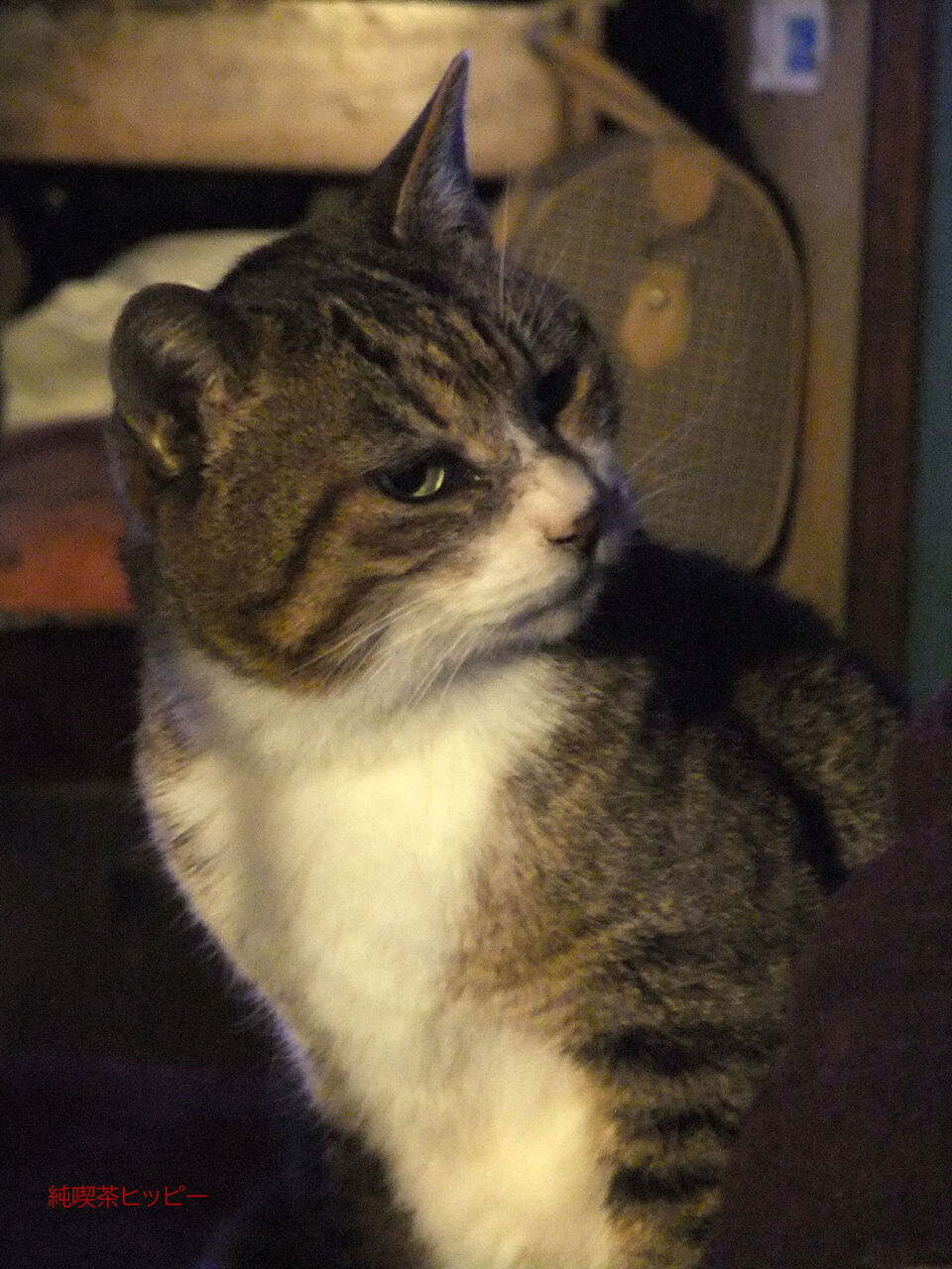 f:id:jkhippie:20200224110144j:plain