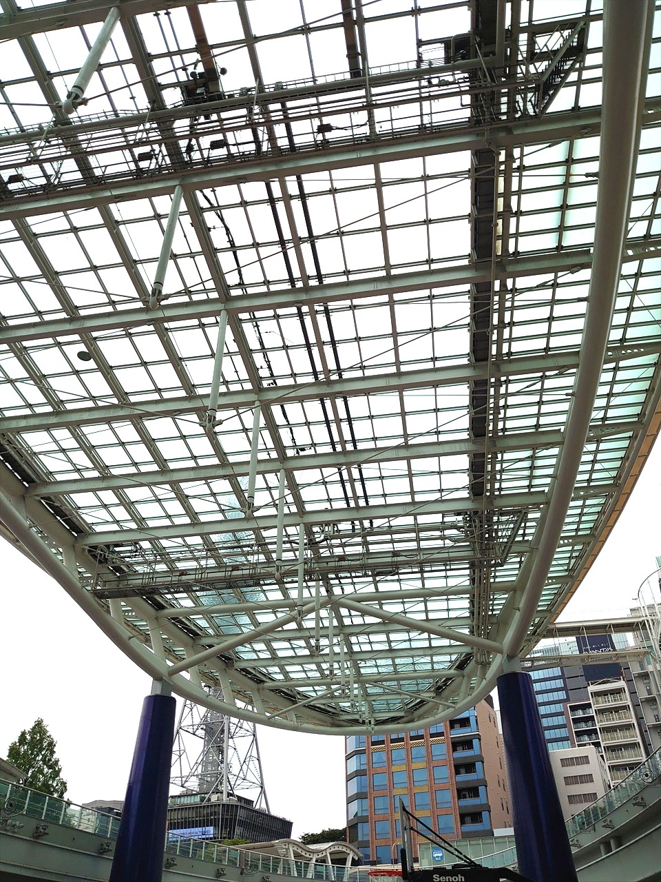 IMG_20240621_124117_R