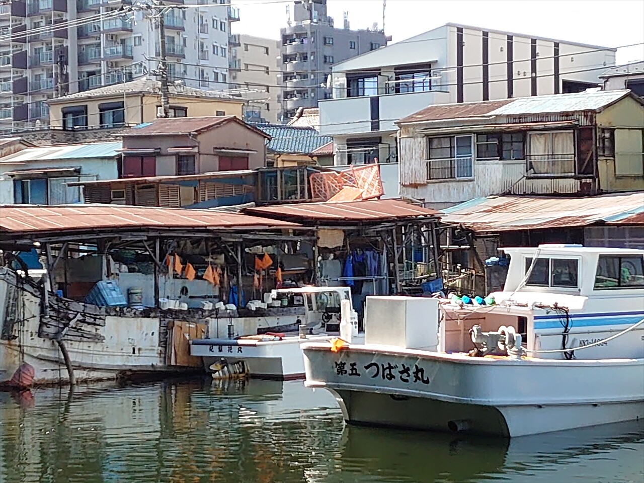 IMG_20240503_141344_R