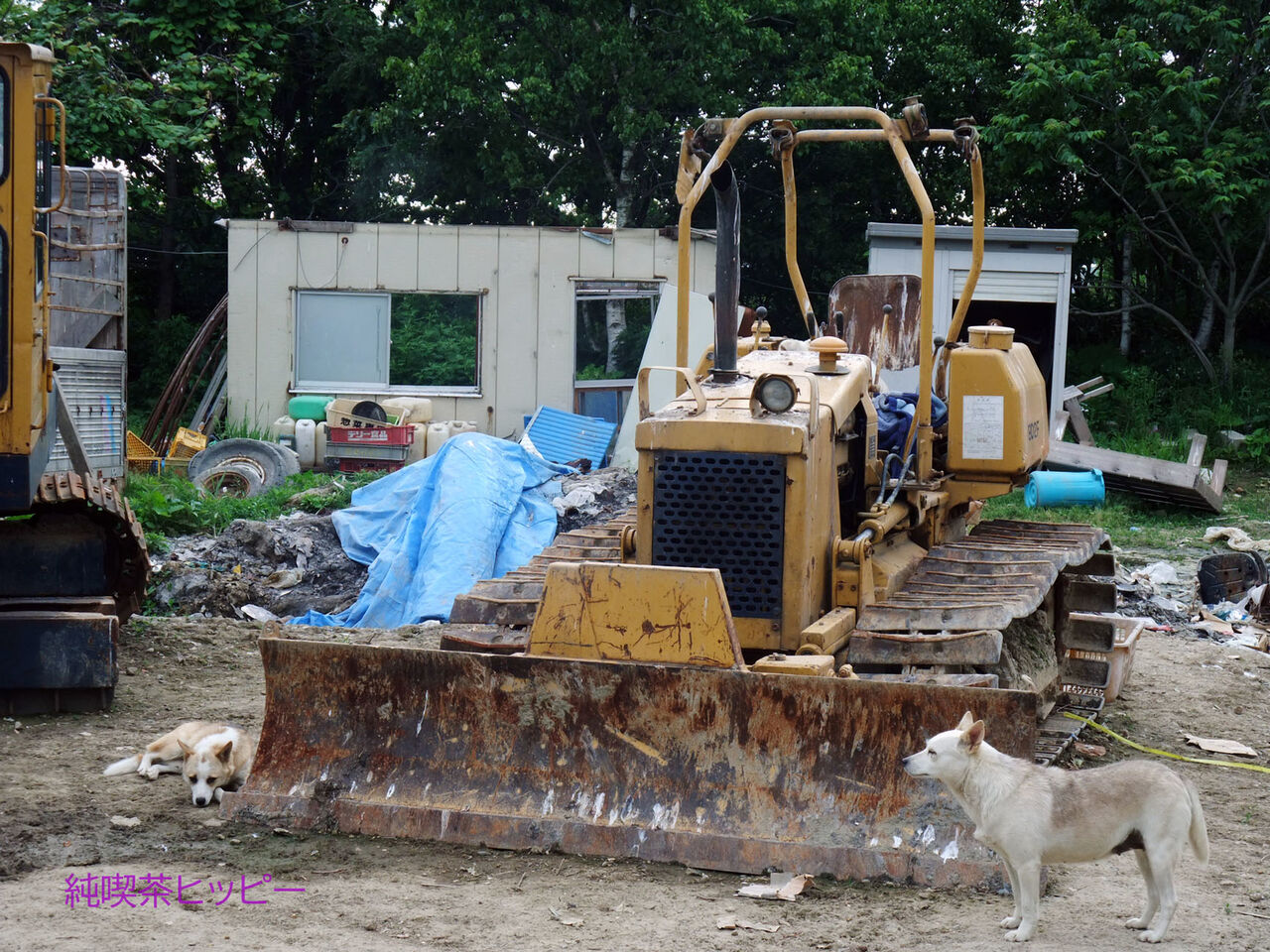 f:id:jkhippie:20200408195609j:plain f:id:jkhippie:20200408195609j:plain