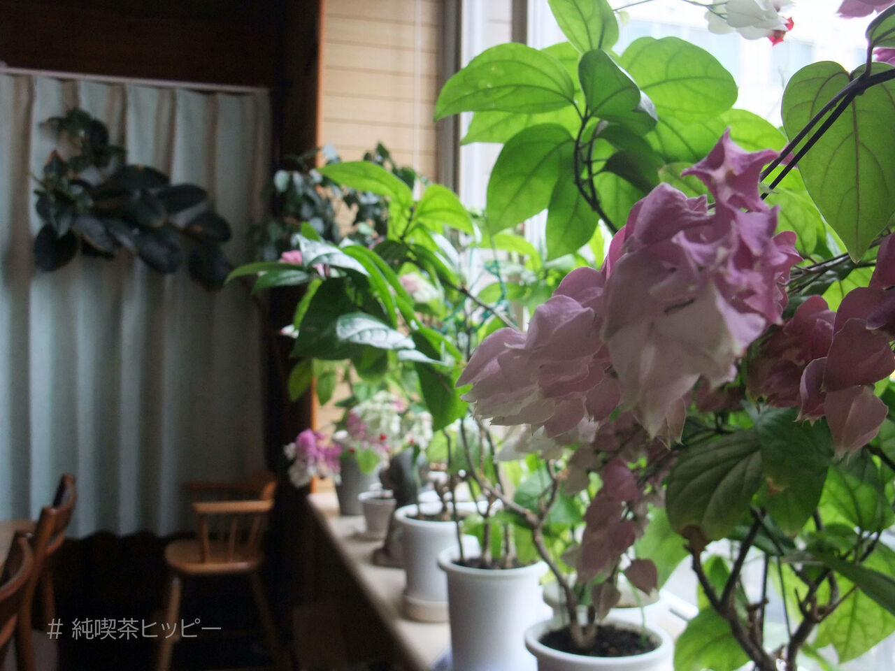 f:id:jkhippie:20200912062625j:plain f:id:jkhippie:20200912062625j:plain