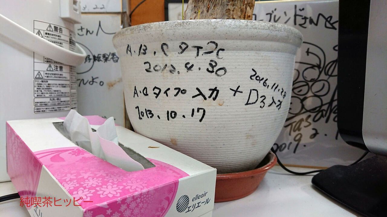 f:id:jkhippie:20190915180049j:plain