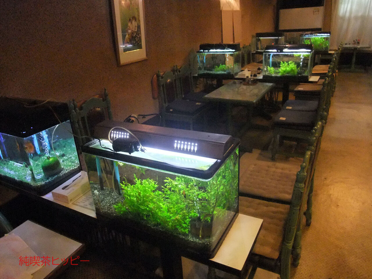 f:id:jkhippie:20200201162156j:plain