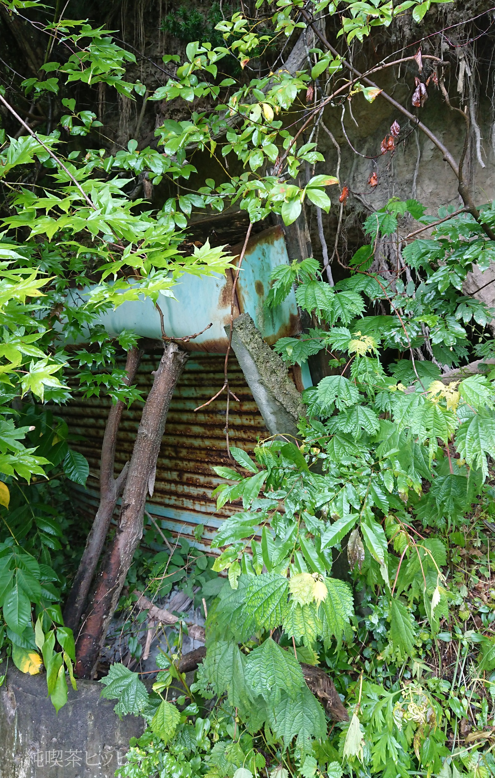 DSC_0409