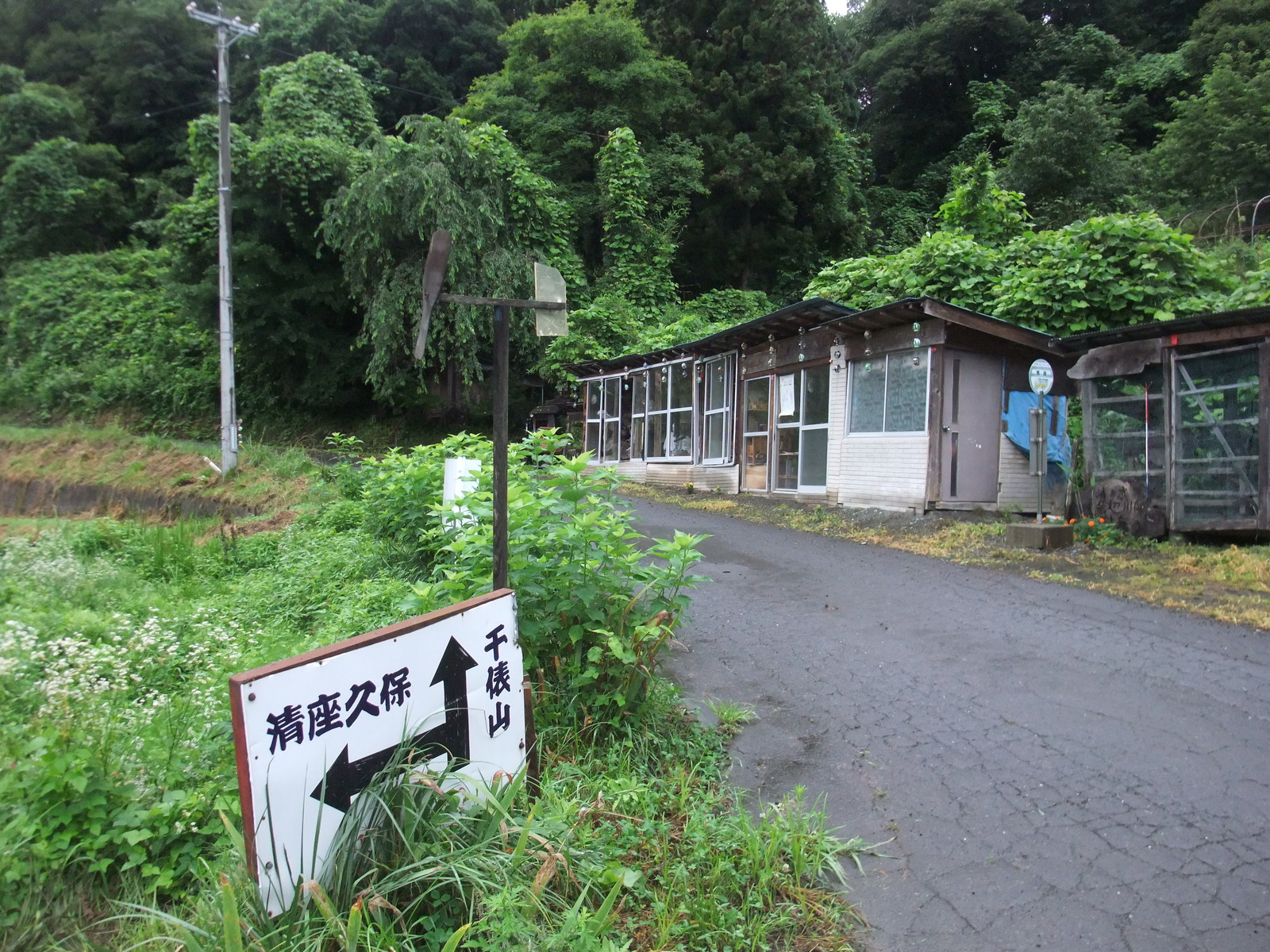 DSCF6515-2