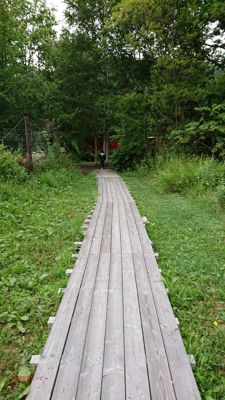 f:id:jkhippie:20200620092955j:plain