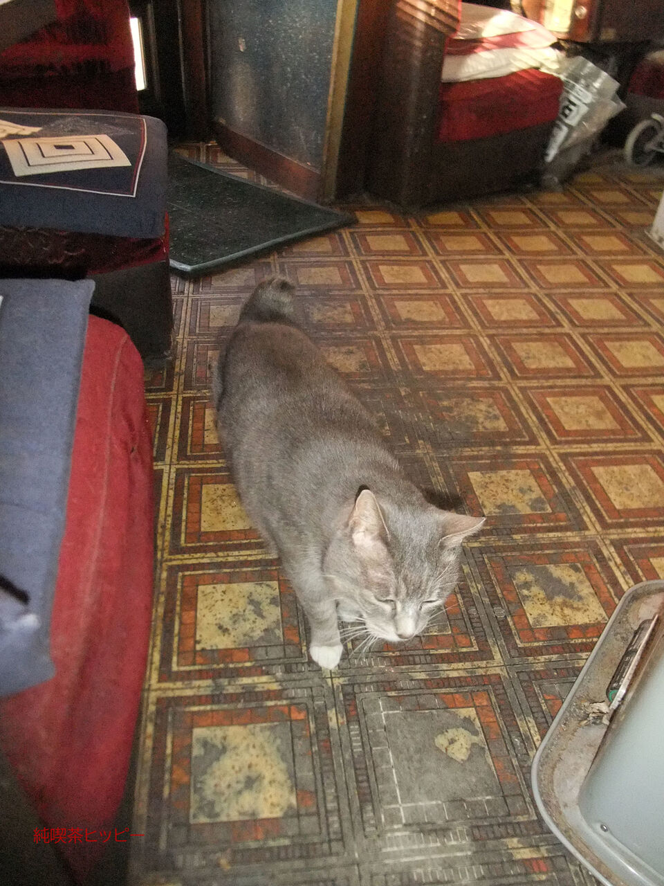 f:id:jkhippie:20200224105708j:plain