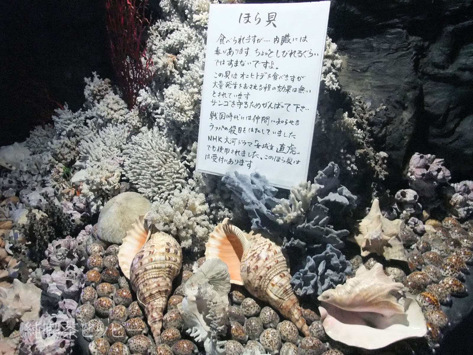 DSCF3257