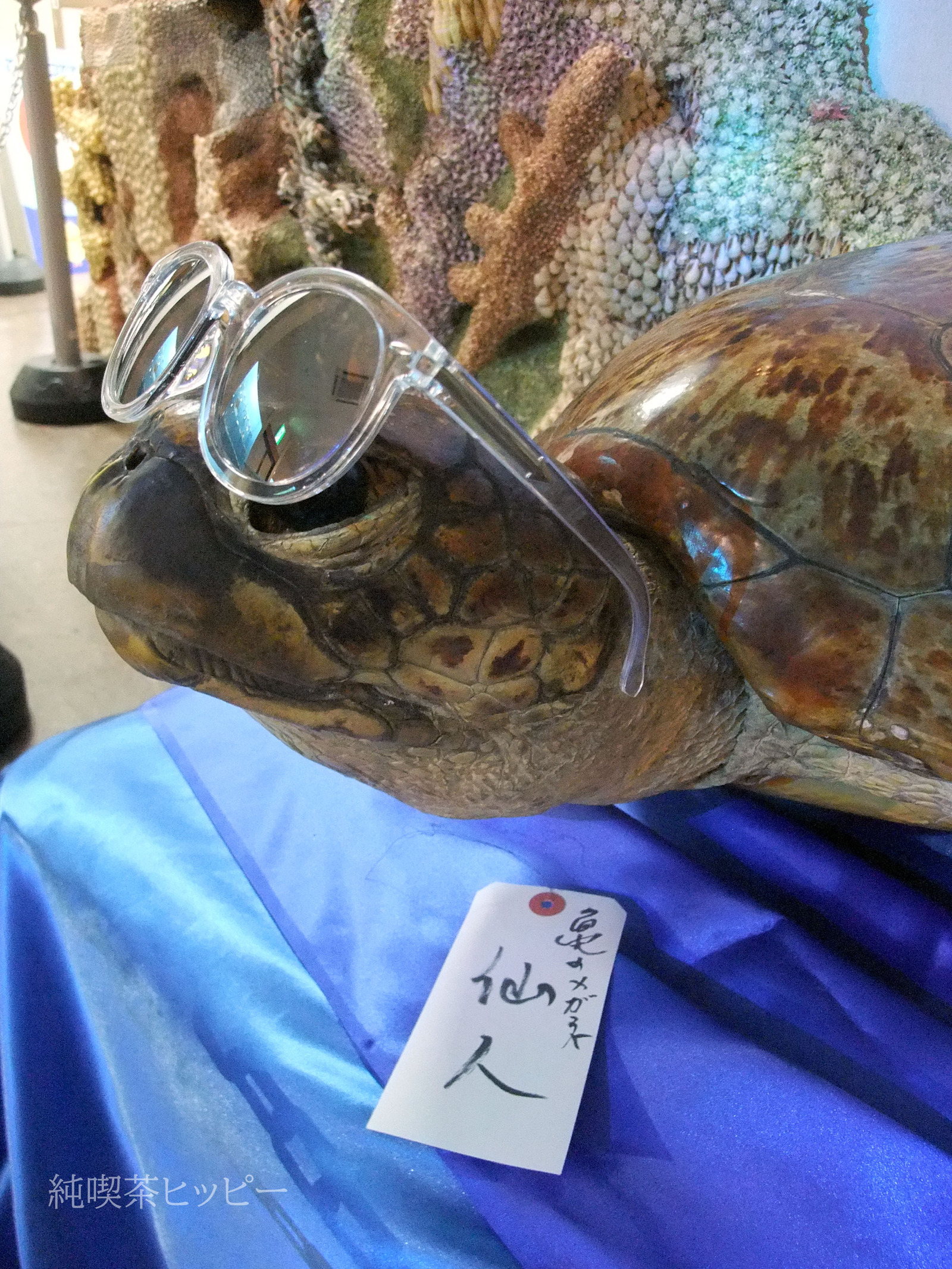 DSCF3299