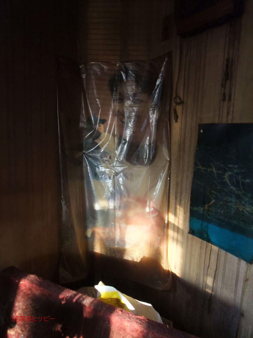 f:id:jkhippie:20200224105929j:plain