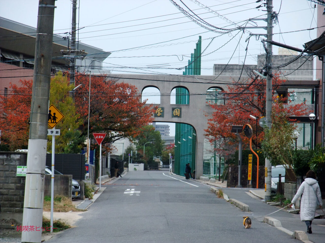 f:id:jkhippie:20200425122235j:plain