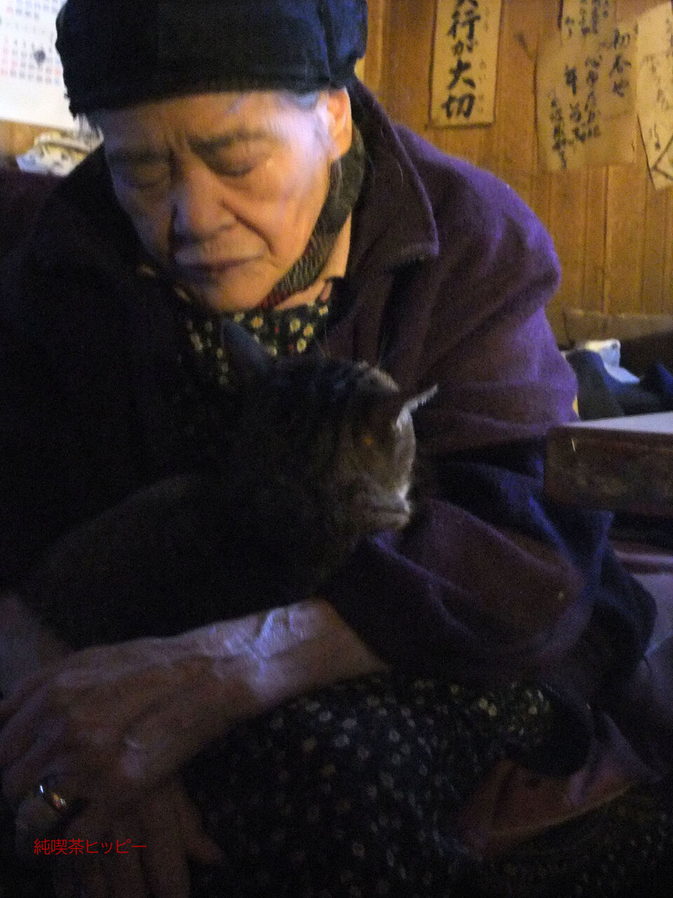 f:id:jkhippie:20200224110118j:plain