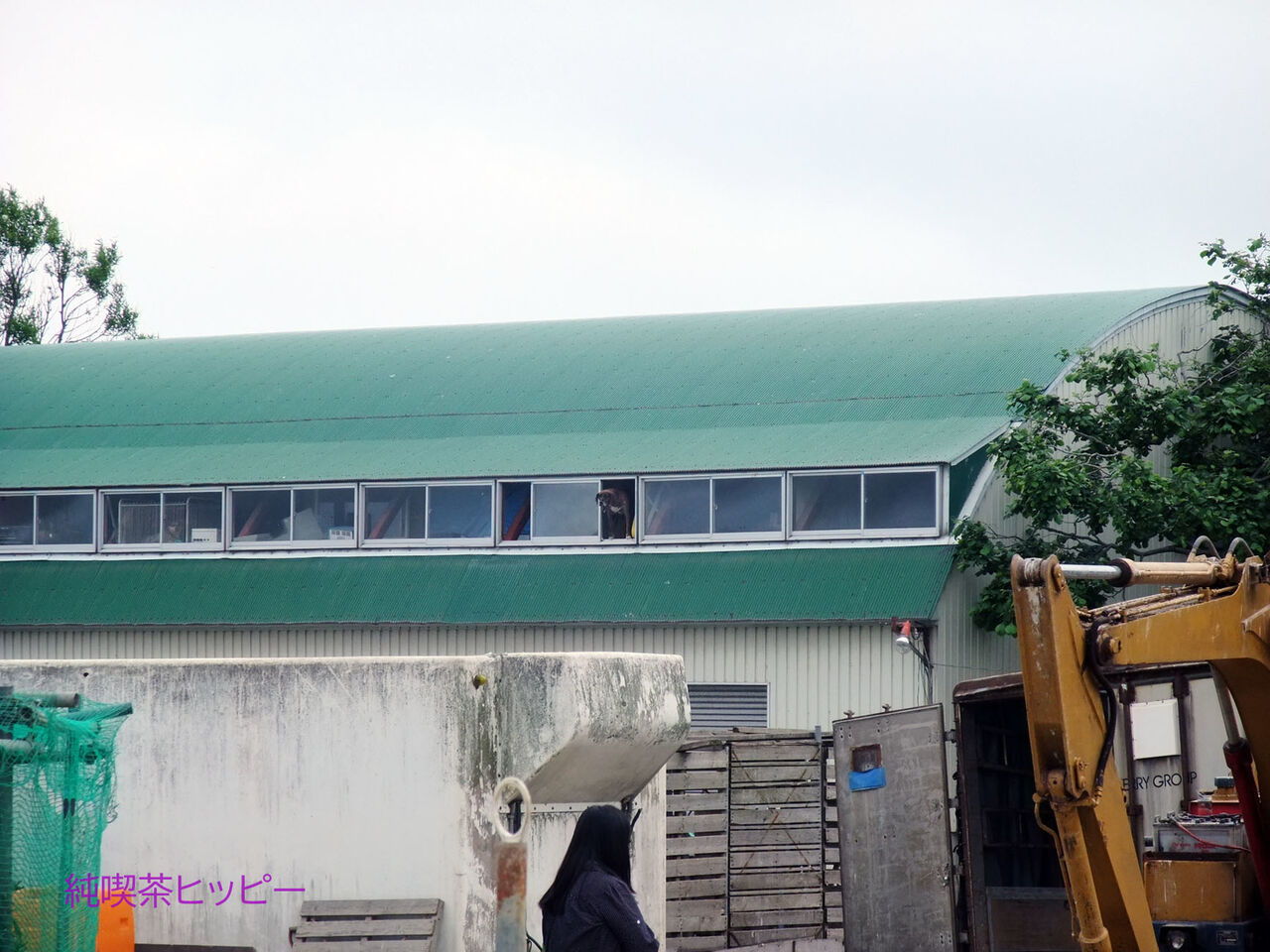 f:id:jkhippie:20200408195614j:plain f:id:jkhippie:20200408195614j:plain