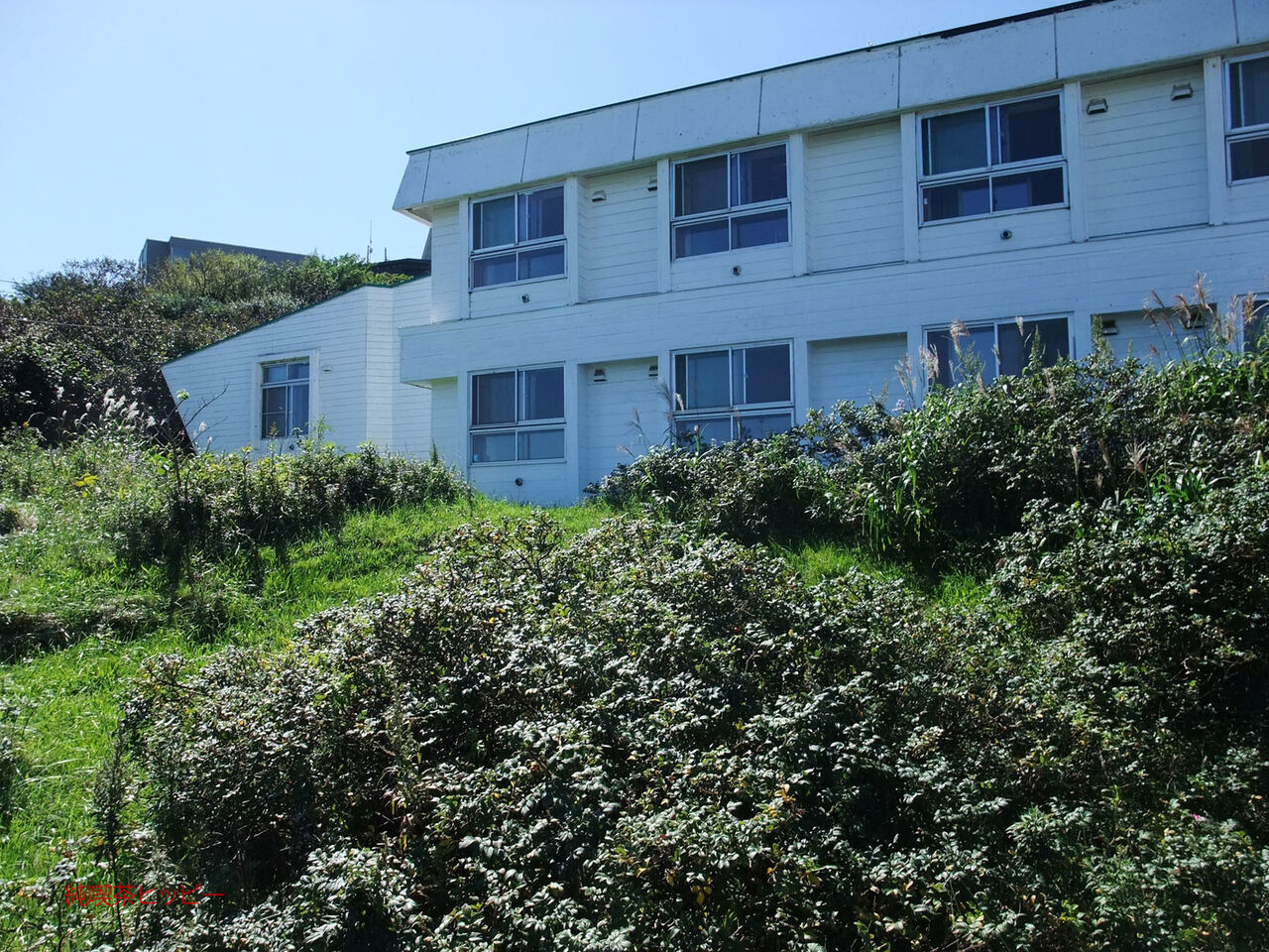 f:id:jkhippie:20200418203745j:plain