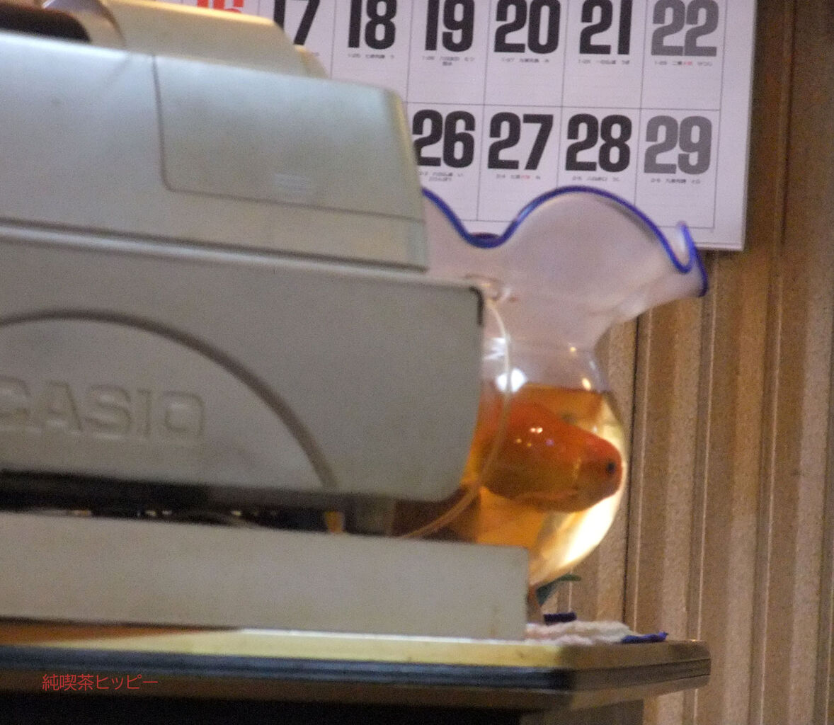 f:id:jkhippie:20200530095010j:plain