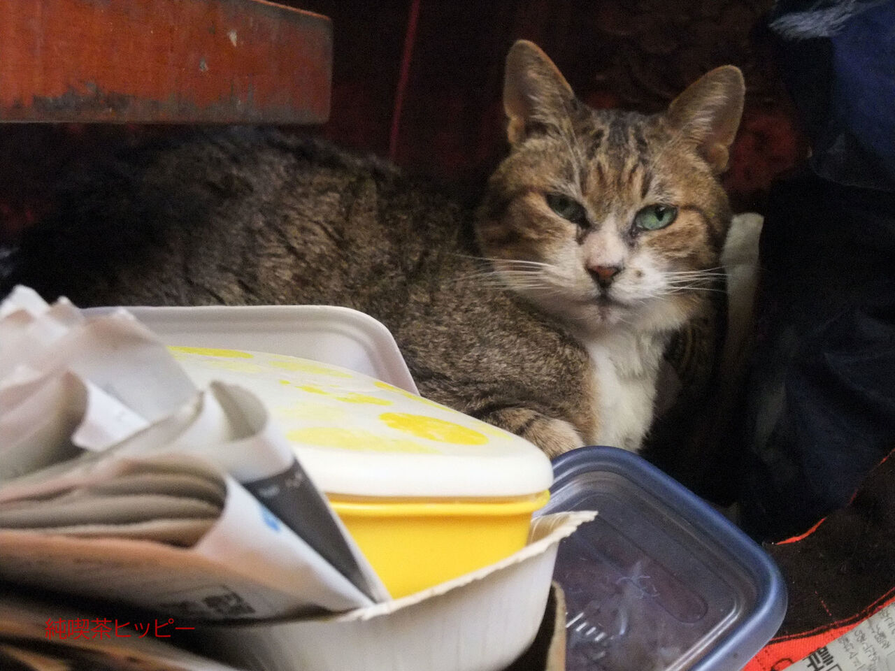 f:id:jkhippie:20200224105811j:plain