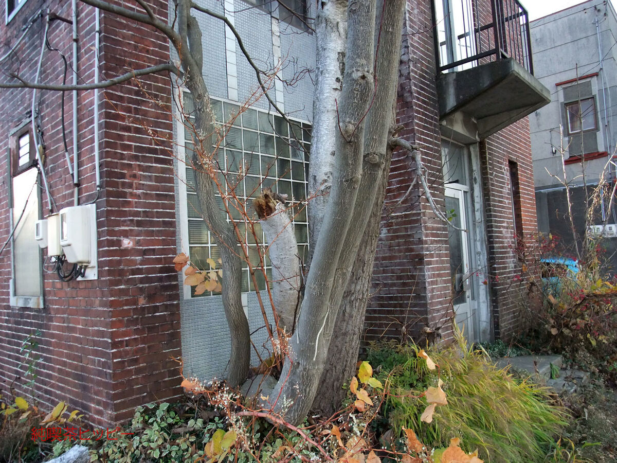 f:id:jkhippie:20191119210614j:plain