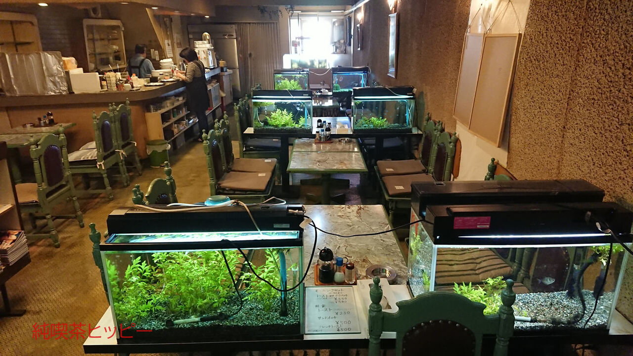 f:id:jkhippie:20200201162016j:plain