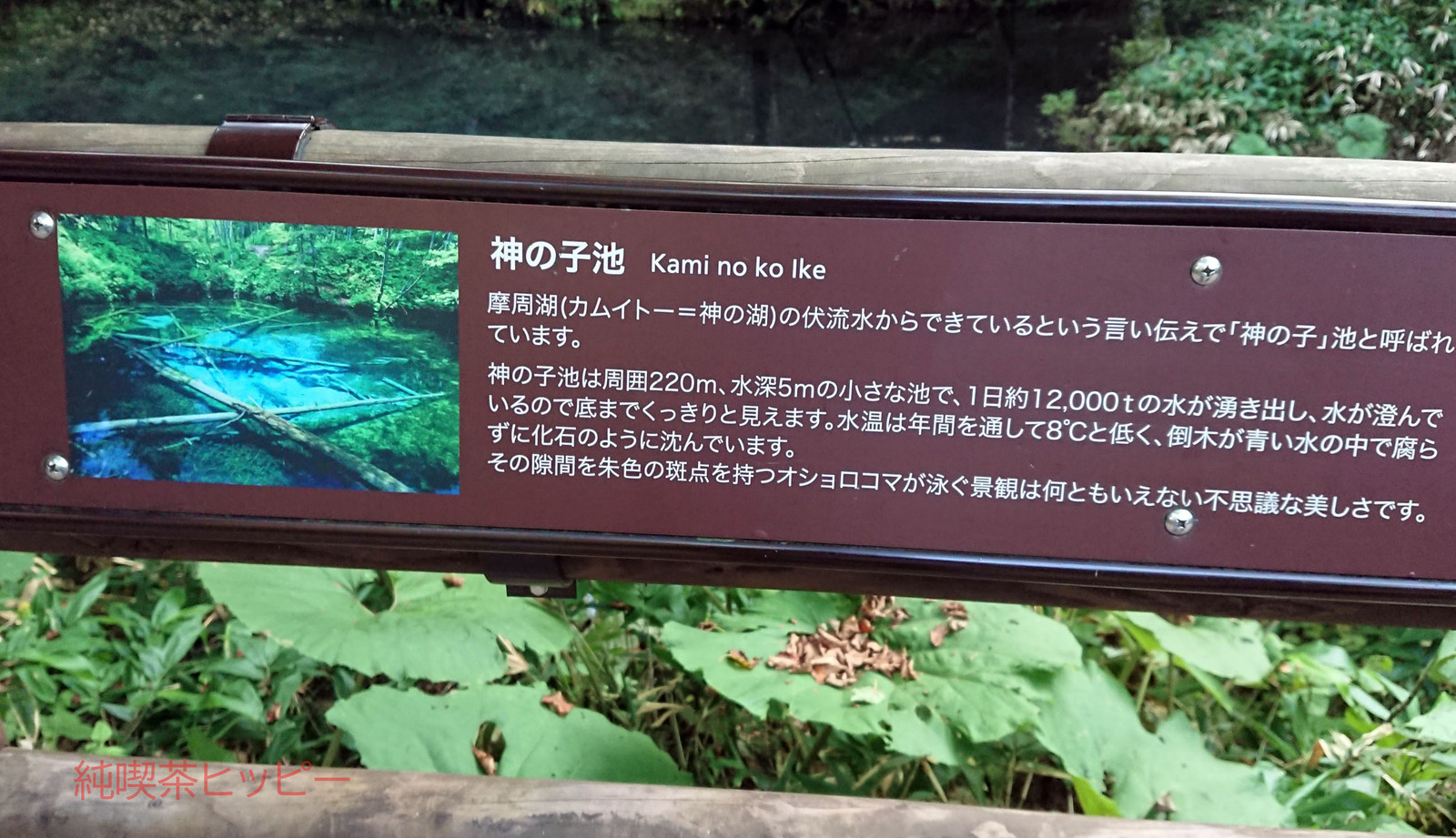 DSCPDC_0003_BURST20200828163435495_COVER