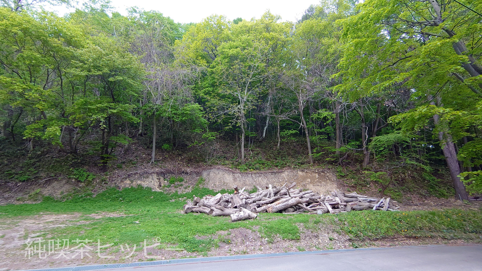 藻岩山　雪友荘　解体