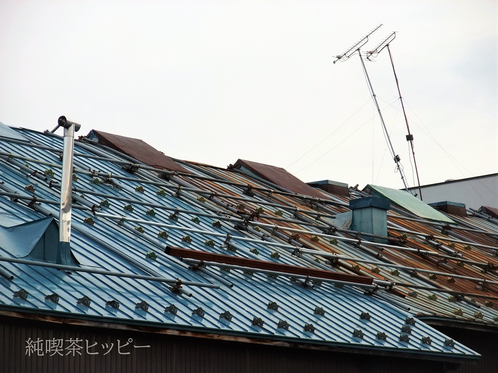 DSCF1233