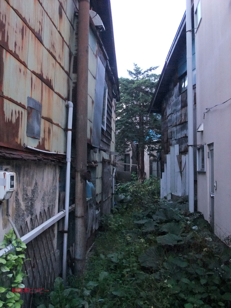 f:id:jkhippie:20191031210949j:plain