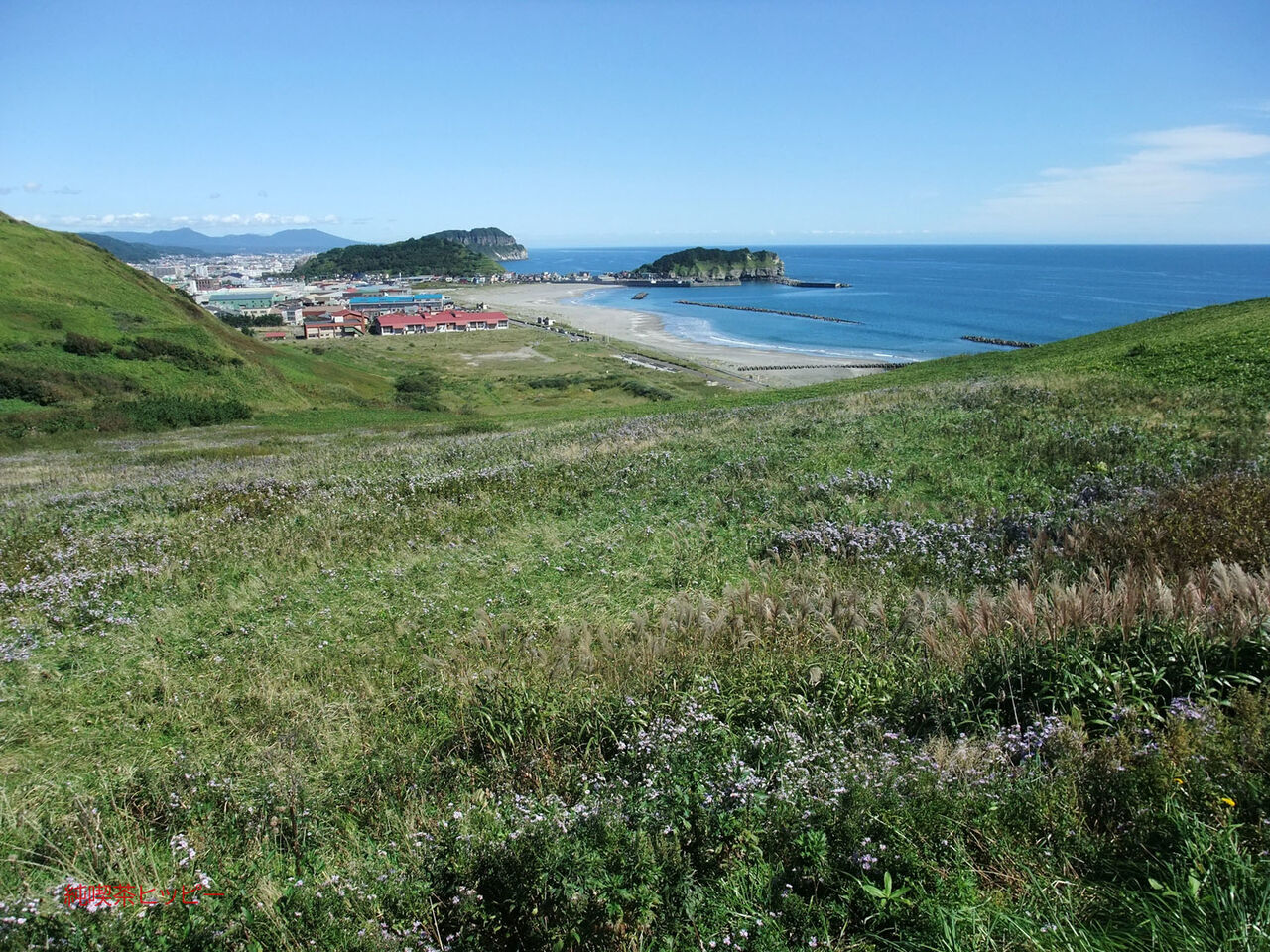 f:id:jkhippie:20200418203735j:plain